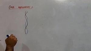 3K views · 245 reactions | DNA Replication Introduction.. For full all lectures contact us at: WhatsApp: 032321959691 | Up Teaching Academy | Facebook