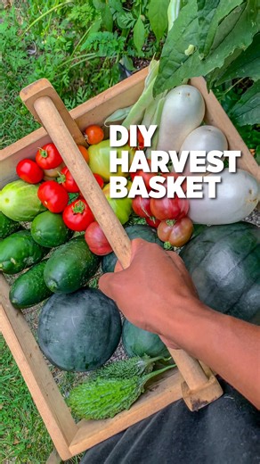 Build your own harvest basket! 🧺 This DIY garden trug is one of our favorite projects. Simple to make and perfect for hauling in your garden bounty. Plus, the open mesh bottom makes it easy to rinse off root vegetables right in the garden before bringing them inside! We walk you through every step in this reel, and if you want the full measurements and detailed instructions, they’re all in our new book The Compact Garden. 📖 Available for preorder now, link in bio! #diy #daily #gardendiy #theco