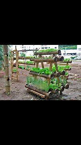 46 reactions · 18 comments | Vertical farming. #InnovativeFarming | Russell Tinashe | Facebook