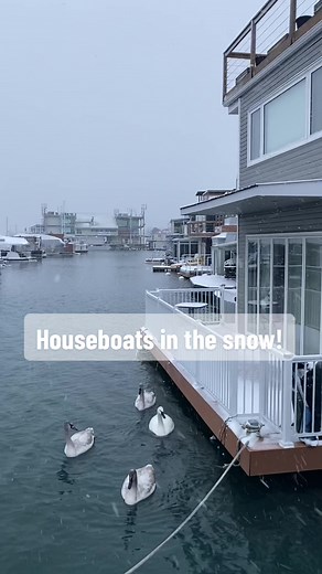 Snow Day at Toronto Floating Homes!