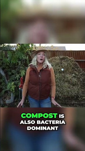 Leaf Mold vs Compost: Soil Secrets Revealed!