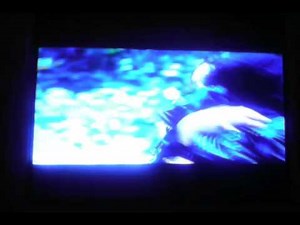 The Hunger Games - Rue's Death Scene
