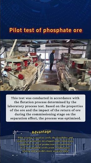 Pilot testing of phosphate ore