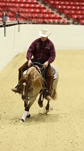 ARA Rebel King in the Derby Open at the NSHA - National Stock Horse Association Futurity. #RebelNews #ValleyEquine | Metallic Rebel