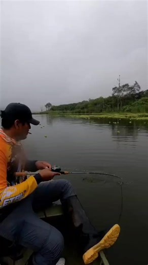 Pesca de Tucunare 🎣✌️ #tarapoto_perú🇵🇪💚🌴 #tucunare #pescadeportiva #equiposdepesca #señuelosdepesca