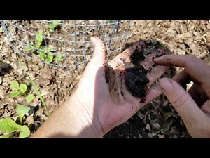 Soil Friability Test