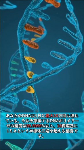 【衝撃】あなたの体内の化学反応は爆発と同じ仕組みで動いている #Shorts