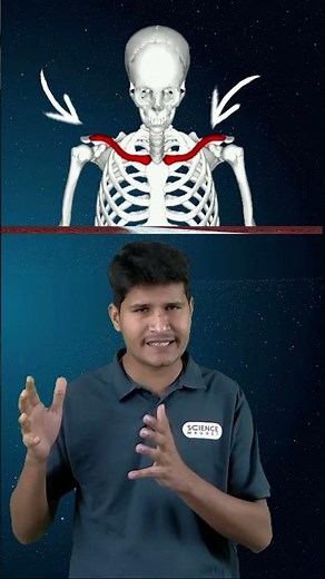 😍Beauty Bone (सुंदरता की हड्डी) कौनसी होती है ? #short #neerajsir