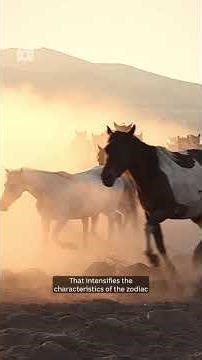 What is the 'Fire Horse' and how could it shape 2026 | ABC NEWS