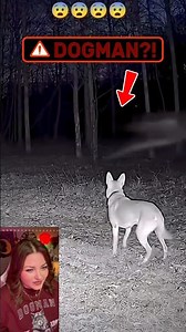 Is This A DOGMAN?! #cryptid #dogman #reactionvideos #cryptids #creepyencounters