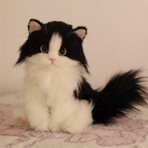 Weighted Realistic Kitten Art Doll: Fully Poseable, 20cm Tall, 15cm Tail, Self Standing (pre-order) - Etsy