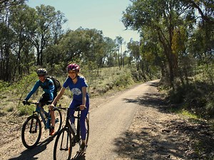 Murray to Mountains Rail Trail - The Ultimate Guide / Tour De Vines