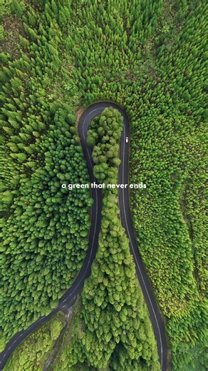 Azores - Portugal 🇵🇹 🎥 @ffragaa w/ @super_azores In the Azores, green means freedom, freshness, and pure nature. A place where the earth feels alive. 🍃🌲✨ #nature #azores #acores #green