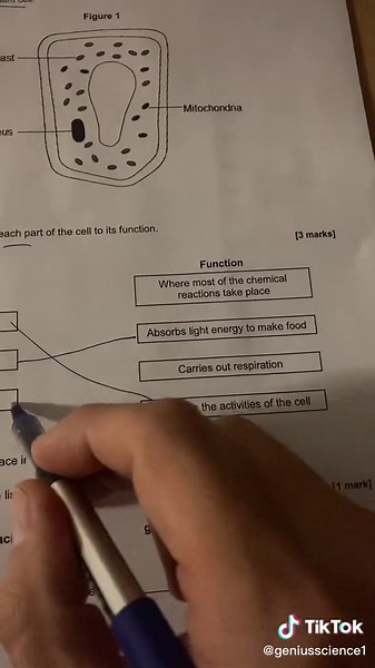 Understanding Cells: GCSE Biology Questions and Answers