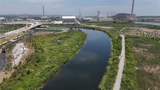 Is the Don River healthy?