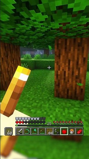 Minecraft Meme: OOOOH MY PC