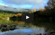 Videos: Features of the Whanganui Journey