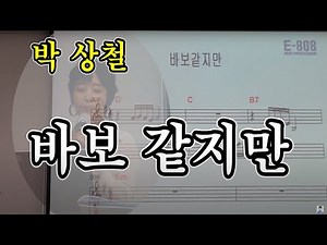 박상철 바보같지만 / 노래 배우기 김주미 가요교실