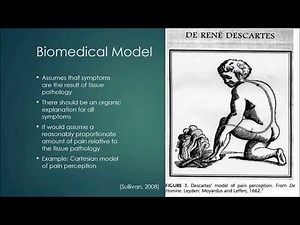 Biomedical Model of Pain by Jared Maynard