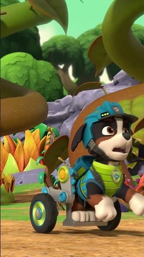 Le bébé Dino est sur le point de se faire manger par des plantes! | #lapatpatrouille #pawpatrol