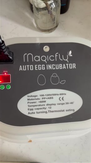 Huge 👸 #magnificent #macro #queenbee #leader