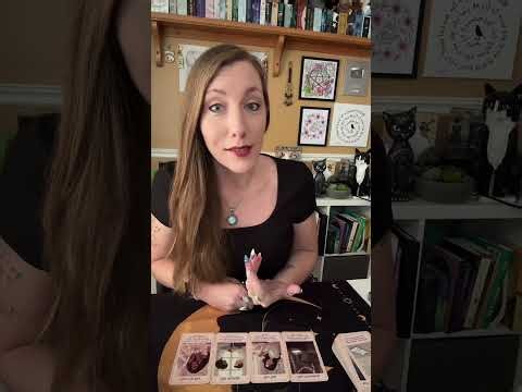 You are trusting in YOUR journey! IN DEPTH Divine Counterpart ENERGY CHECK! ☯️ TIMELESS READING ☯️