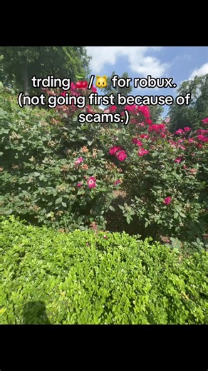 #plsdonate #robux #trde #imjustagirl #imjustagirl #imjustagirl🎀 #please #send #gc #roblox #fup #snapchat #groupchat #trd #selling #sc #viral #tiktok ##fyp