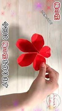 【折り紙】実に簡単な梅の花✨How to make paper Plum blossom#매화꽃#梅花#花#ดอกพลัม#梅#flower#五弁花#折り方#おりがみ#origami#紙#종이접기