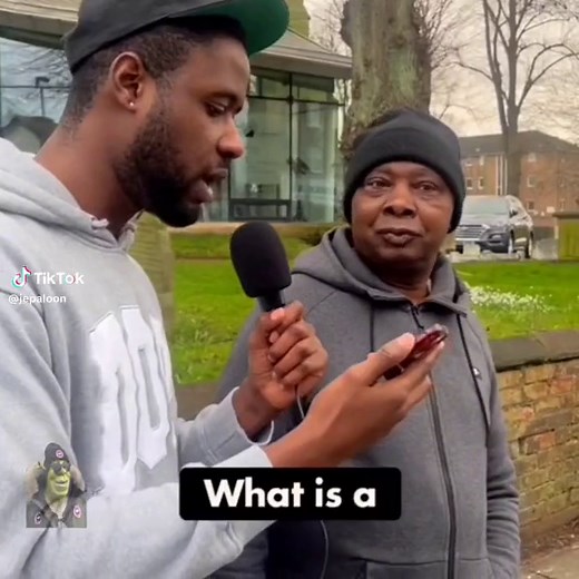 What Are Female Cats Called? Answering the Age-Old Question