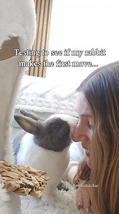 Usually I always give Chester kisses etc.. But this time I just sat there, watching him munch on his toy, waiting to see if he would kiss me first.. | Chester the Dutchie