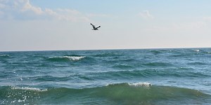 Ineffective assistance by a representative and procedural fairness