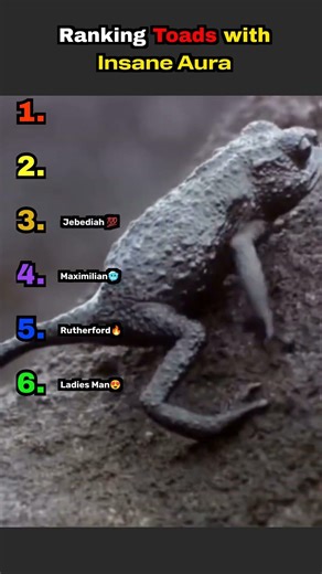 Ranking Toads With Insane Aura