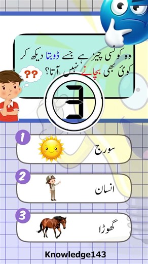 Knowledge video | Quiz video | Informative video