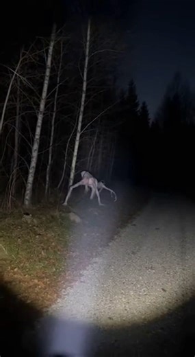 Alien files, something by the ridge!