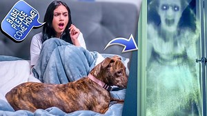 108K views · 6.3K reactions | Revenge GHOST Prank On My Girlfriend! I Think I Messed Up  | Milo & Hazel | Facebook