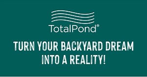 Whiskey Barrel Fountain Tutorial