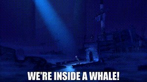 We're inside a whale!