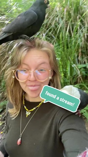 Ava Paloma (@ava.m.paloma)’s videos with Free Bird - MOONLGHT