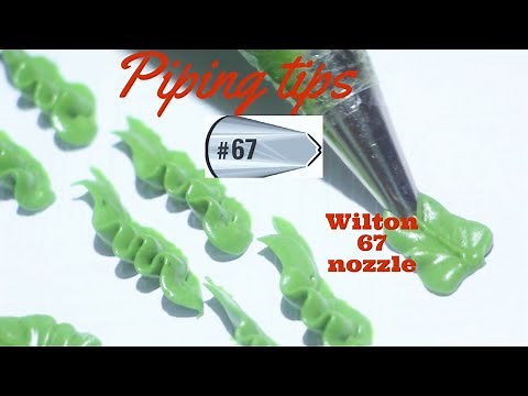 Piping tips| Wilton 67 | for beginners | leaf