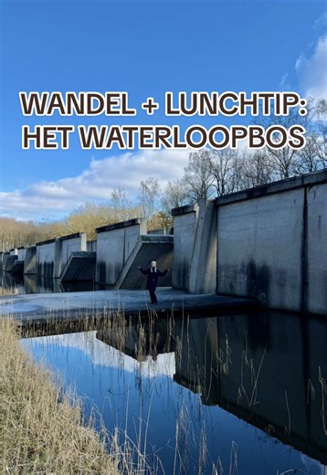 Wandel lunchtip: het Waterloopbos 🌊 Ik had zelf nooit eerder van dit bos gehoord maar ik ben blij dat ik hem heb ontdekt! Ga er zeker een keertje heen als je een unieke wandeling wilt maken en net als ik blij wordt van vlonderpaden 🤓 #wandelen #natuur #dagjeuit #tip #flevoland