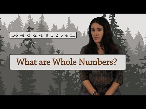 Arithmetic: What are Integers (aka Whole Numbers, Counting Numbers, Natural Numbers)