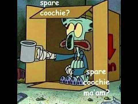 Spare Coochie Meme (1 hour)