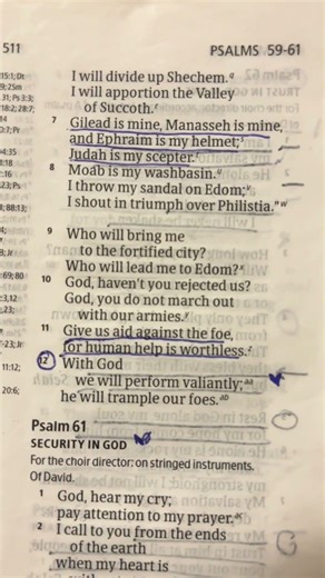 Verse of the Day 76 (Psalm 60:11-12) #verseoftheday #bibleverse #christianencouragement #psalm