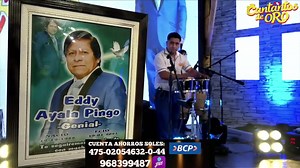 PARRANDA 8 - CANTARITOS DE ORO | Ranking Musical PERÚ