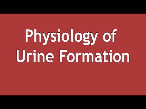 Physiology of Urine Formation | Dr. Shikha Parmar