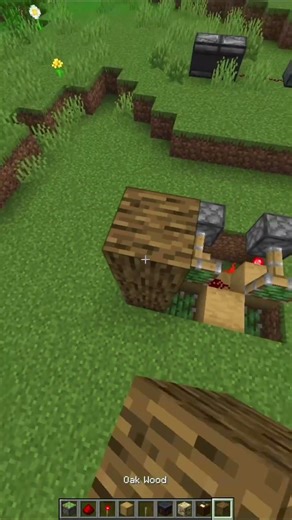 Block Swapper minecraft 😍 #shorts