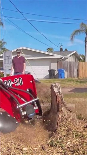 Stump to Nothing | Full Grind with Original Music – Friendly Beaver