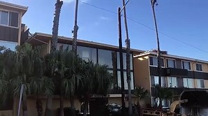 Tree Service in Sacramento