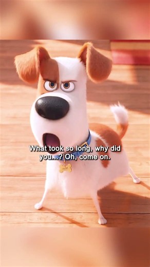 "🎬 He Waited ALL DAY Just for His Owner... 🥹❤️ | The Secret Life of Pets