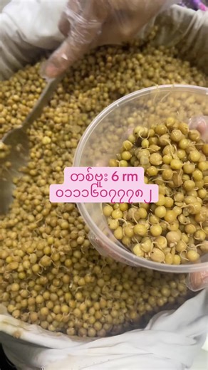 Discover Authentic Myanmar Cuisine in KL